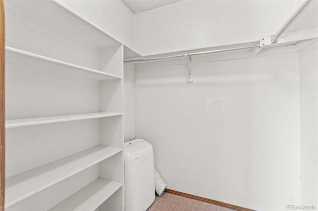 10213 W 80th Drive B, Arvada, CO 80005