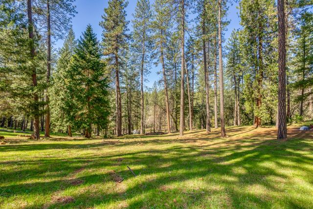 22028 Farrier Ct, Foresthill, CA 95631