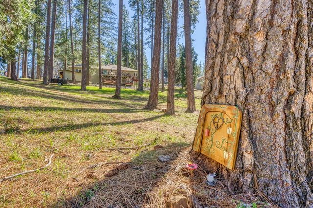 22028 Farrier Ct, Foresthill, CA 95631