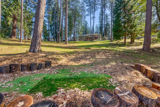 22028 Farrier Ct, Foresthill, CA 95631