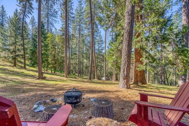 22028 Farrier Ct, Foresthill, CA 95631