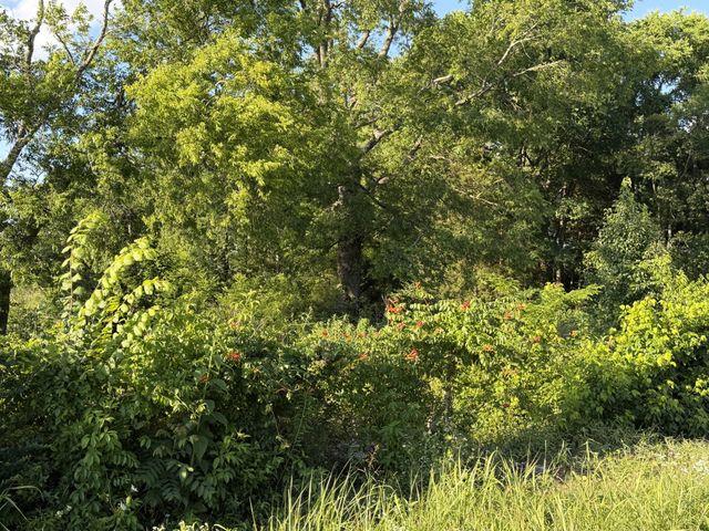 0 Taylor Rd, E, Rockvale, TN 37153