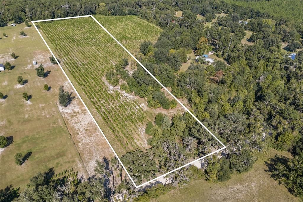 2470 SW CENTERVILLE AVENUE, Fort White, FL 32038
