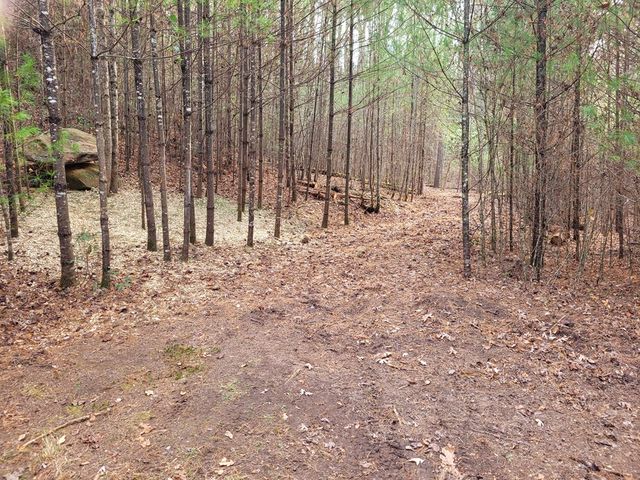 Lot 31 Poplar Cove, Hayesville, NC 28904