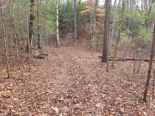 Lot 31 Poplar Cove, Hayesville, NC 28904