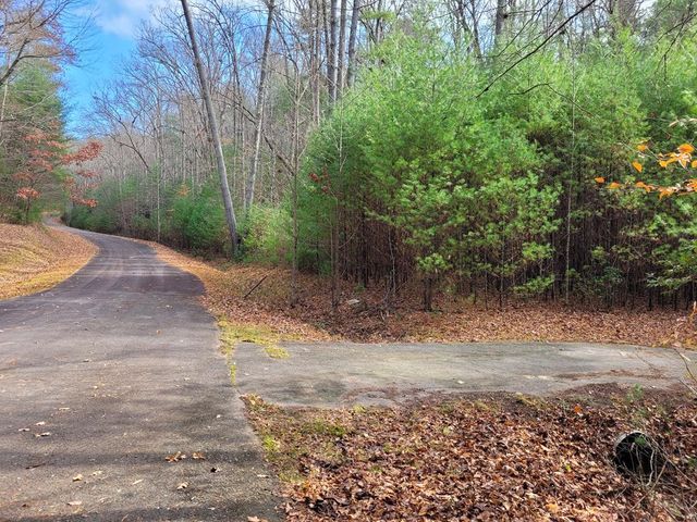 Lot 31 Poplar Cove, Hayesville, NC 28904