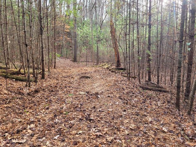 Lot 31 Poplar Cove, Hayesville, NC 28904