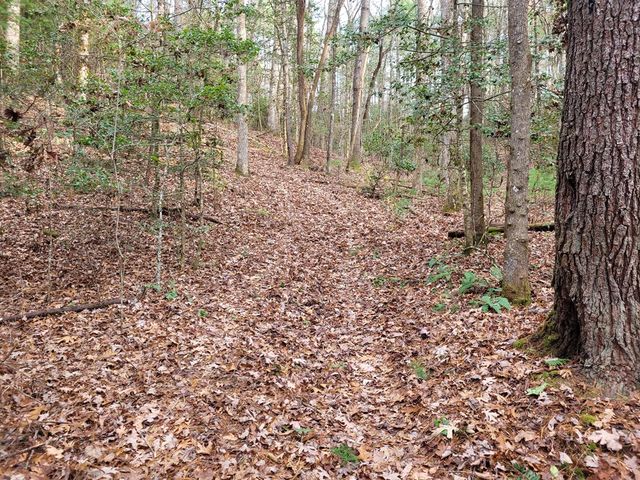 Lot 31 Poplar Cove, Hayesville, NC 28904