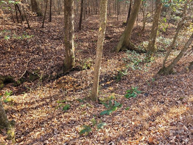 Lot 31 Poplar Cove, Hayesville, NC 28904