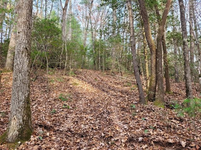 Lot 31 Poplar Cove, Hayesville, NC 28904