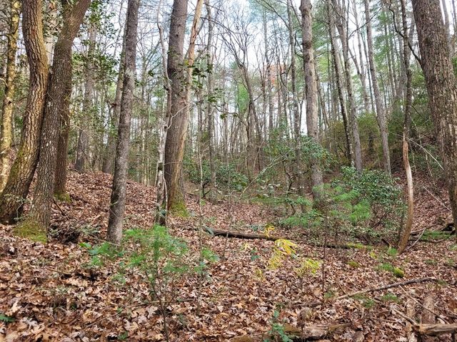 Lot 31 Poplar Cove, Hayesville, NC 28904