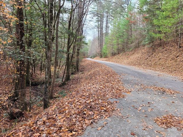 Lot 31 Poplar Cove, Hayesville, NC 28904