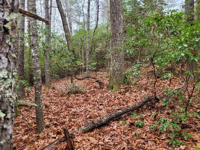 Lot 31 Poplar Cove, Hayesville, NC 28904