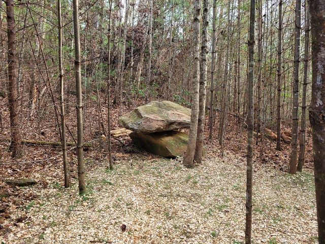 Lot 31 Poplar Cove, Hayesville, NC 28904