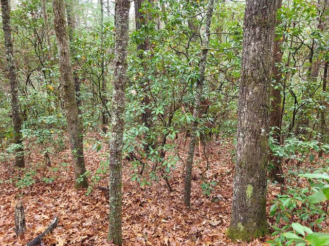 Lot 31 Poplar Cove, Hayesville, NC 28904
