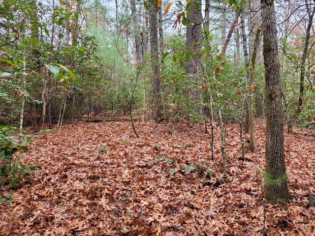 Lot 31 Poplar Cove, Hayesville, NC 28904