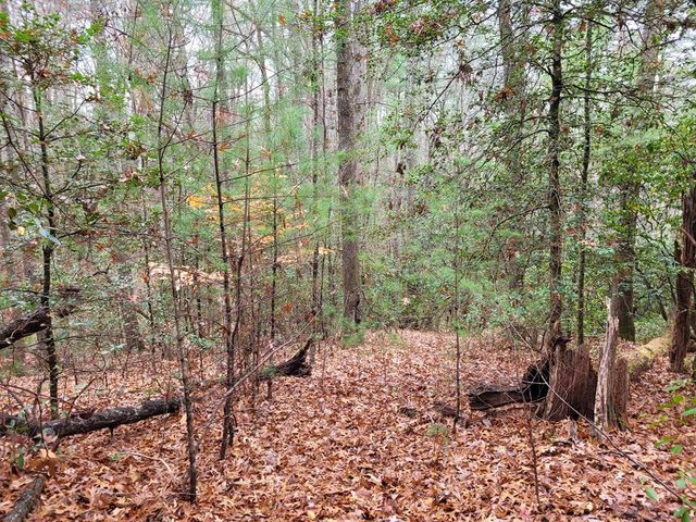 Lot 31 Poplar Cove, Hayesville, NC 28904