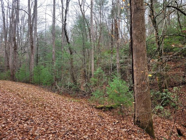 Lot 31 Poplar Cove, Hayesville, NC 28904
