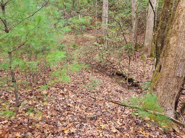 Lot 31 Poplar Cove, Hayesville, NC 28904
