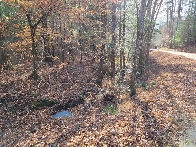 Lot 31 Poplar Cove, Hayesville, NC 28904