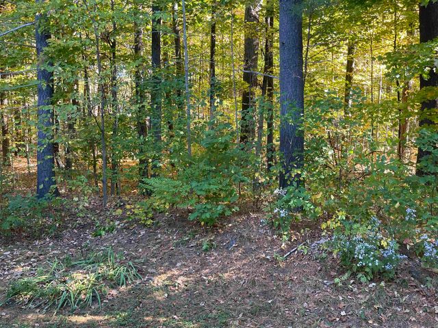 204 Mechanic St Apt 12, Lebanon, NH 03766