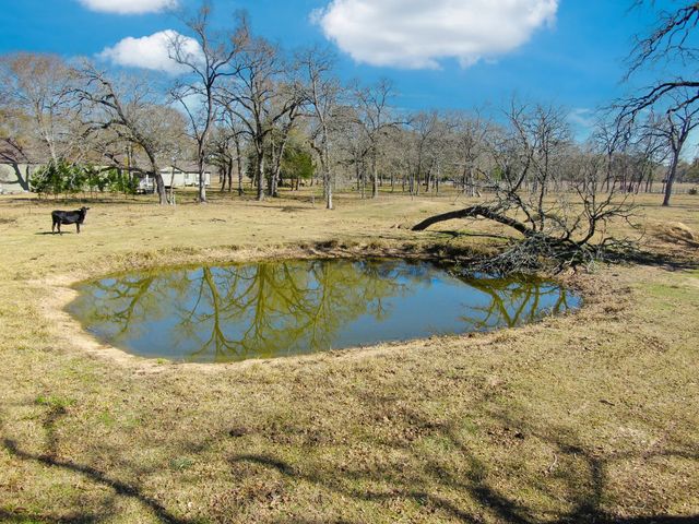26071 Forest Hills Ln, Waller, TX 77484