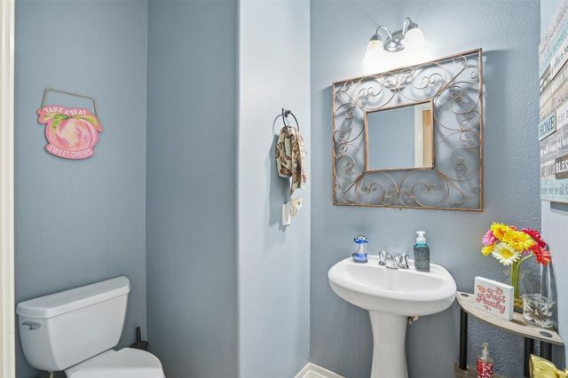 24202 Dan River Drive, Katy, TX 77493