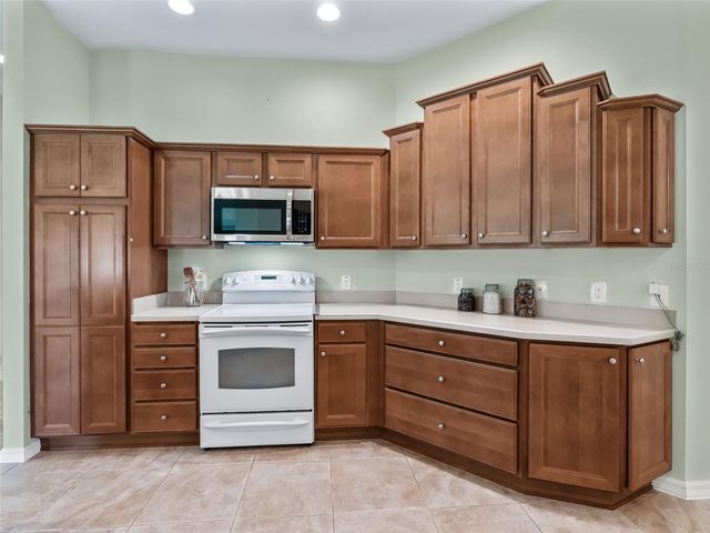 2215 TRIGGERFISH RUN, The Villages, FL 32162