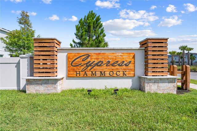 1259 WISPY CYPRESS DRIVE, Kissimmee, FL 34746