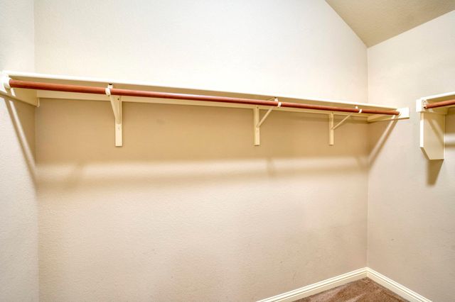 2020 Petrified Forest DR, Austin, TX 78747