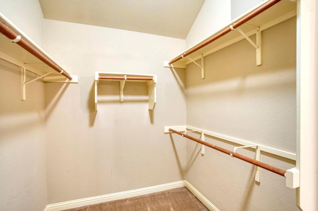 2020 Petrified Forest DR, Austin, TX 78747