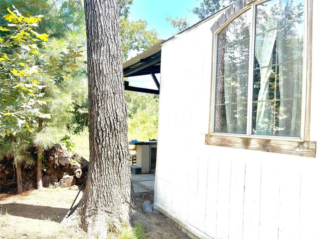 298 Cloverdale Street, Livingston, TX 77351