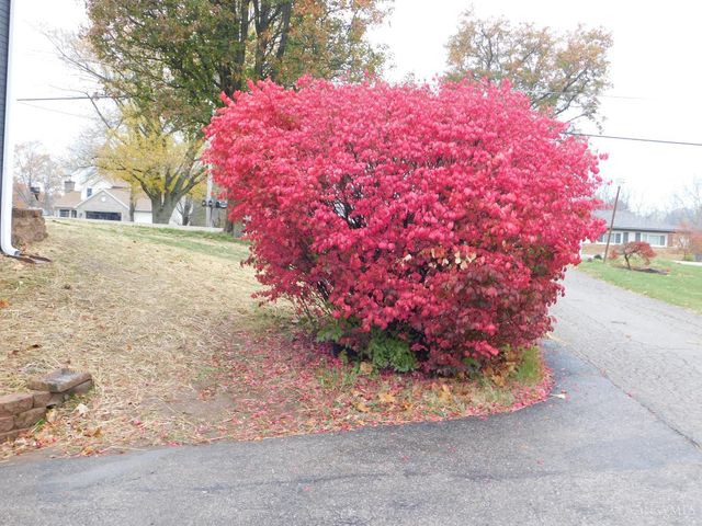 6662 Daleview Road, Colerain Twp, OH 45247