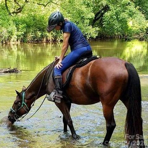 1.94 acres, Lot CB22, Cypress Trail CB22, Lenoir, NC 28645