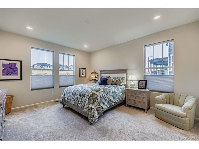 1853 Water Birch Way, Castle Rock, CO 80108