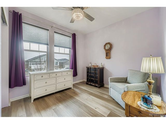 1853 Water Birch Way, Castle Rock, CO 80108