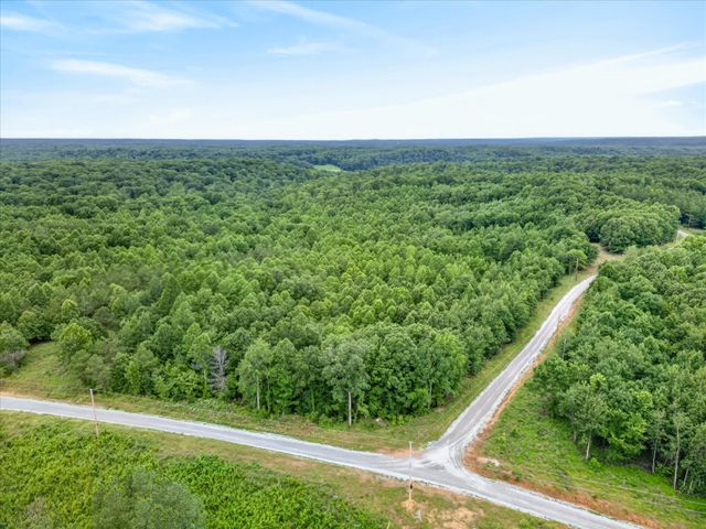 81 Homestead Court, Dover, TN 37058