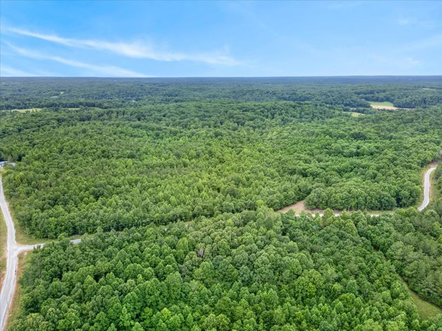 81 Homestead Court, Dover, TN 37058