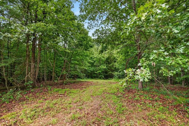 81 Homestead Court, Dover, TN 37058