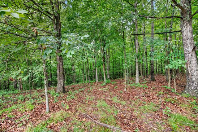 81 Homestead Court, Dover, TN 37058