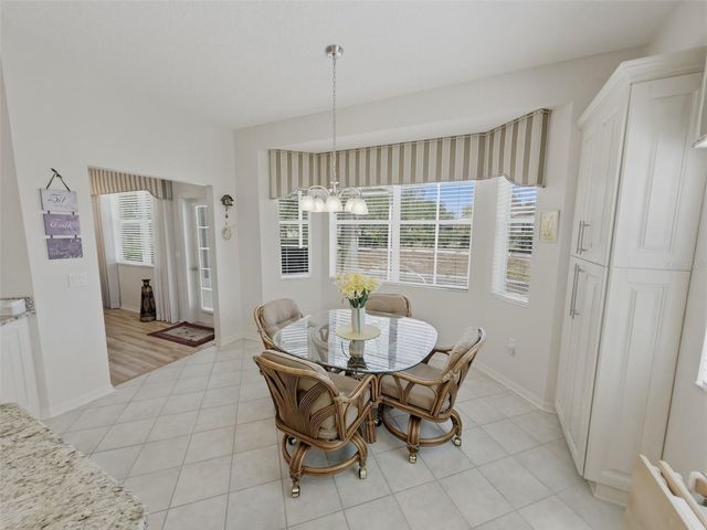 18744 BELLEVISTA COURT, Hudson, FL 34667