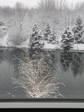 1493 Dexter Drive Sw 34, Byron Twp, MI 49315