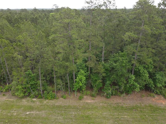 15386 Red Hawk Road, Willis, TX 77378