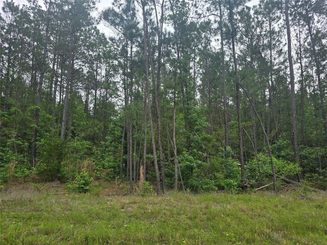 15386 Red Hawk Road, Willis, TX 77378