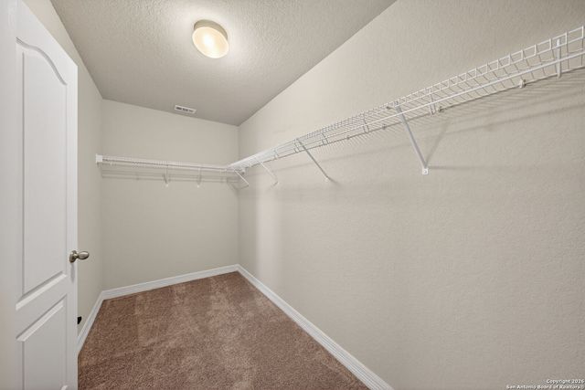 1314 Begonia Bluff, San Antonio, TX 78245