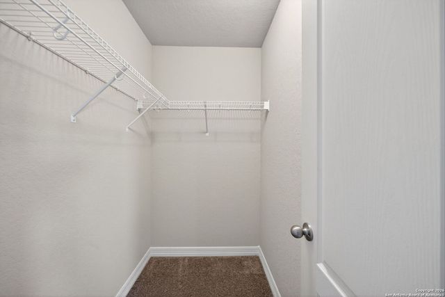 1314 Begonia Bluff, San Antonio, TX 78245