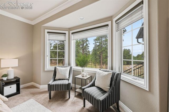 1125 Edenhurst Court, Monument, CO 80132