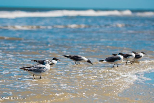 1733 SEA FAIR Drive 14259, St. Augustine, FL 32080