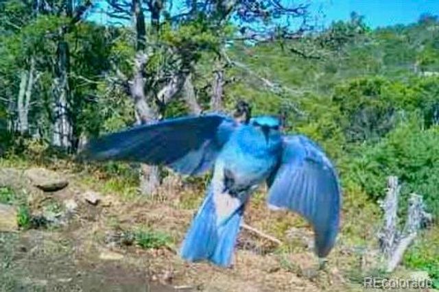 13045 Picketwire Road, Boncarbo, CO 81024