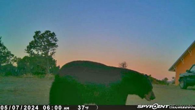 13045 Picketwire Road, Boncarbo, CO 81024